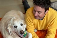 Jimmy Fallon Mourns Death of Dog Gary the Golden Retriever