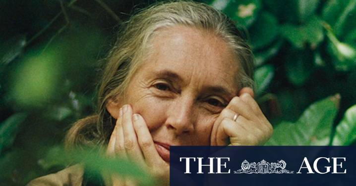 Pioneering conservationist Jane Goodall dies aged 91
