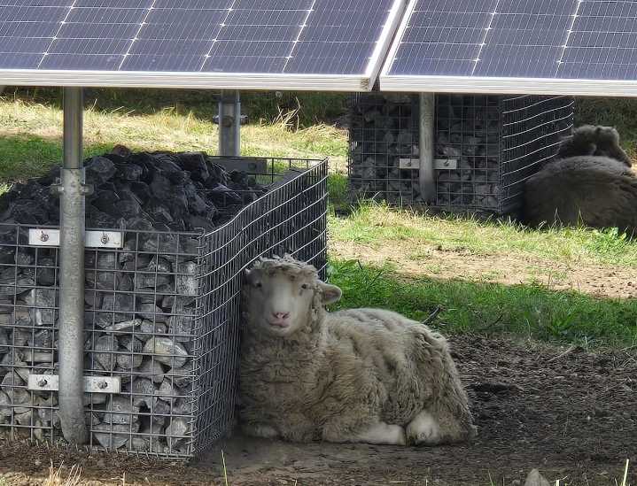 ‘Significant milestone’: Cumberland County township unveils new solar field