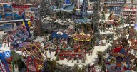 AD FEATURE: Experience the magic of Christmas at Almondsbury Garden Centre
