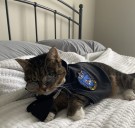 Here are readers’ pets (and wildlife) we featured in our October newsletter