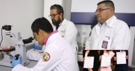 Adiós al CV tradicional, la constancia de situación profesional revolucionará el mercado laboral