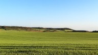 Crecer juntos: el valor del cooperativismo agroalimentario en Aragón