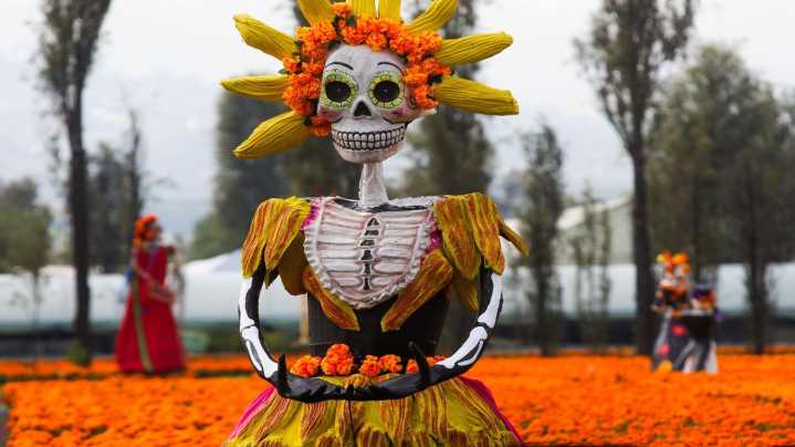 Día de Muertos 2025 en Xochimilco: Eventos Gratis, Paseo en Trajinera a la Isla de Muñecas y Más