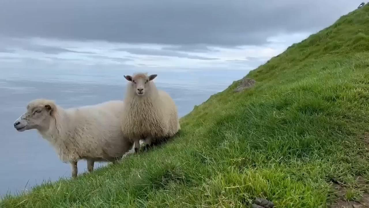Faroe Islands in the remote north Atlantic perfect destination for a dramatic 'coolcation'
