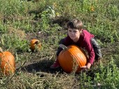 Pick and choose a pumpkin patch on Whidbey