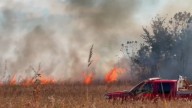 Wind-fueled brush fire burns through Rockford-area corn field – NBC Chicago