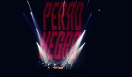 Perro Negro Experience en Caracas: dale hasta abajo en Halloween