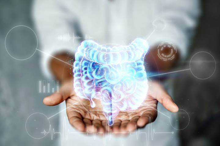 Por qué tu microbiota puede cambiar tu salud (y tu vida)