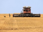 Survey finds U.S. farmers in steady mood | Kingston/Frontenac This Week