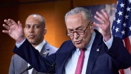 Democrats face uphill battle in government shutdown gamble with Trump