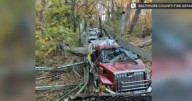 Brother says truck driver "could have been killed" after collapse of historic Baltimore County bridge