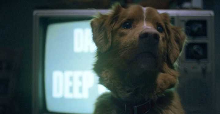 Supernatural thriller Good Boy does daring drama from a dog’s perspective