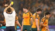 Bledisloe Cup: Wallabies coach Joe Schmidt rues yellow cards and fatigue after 28
