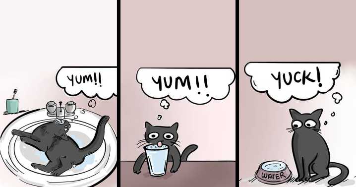 27 Relatable Comics By This Artist From India