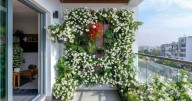 Transformá tu hogar: cómo las plantas en jardines verticales revitalizan espacios pequeños