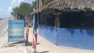 Preocupa a operadores turísticos la acelerada muerte de corales en Tulum