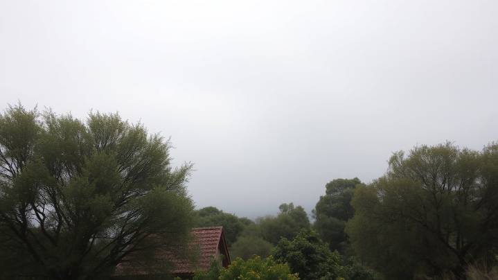 Hay alerta amarilla por viento zonda para este lunes 3 de noviembre en San Juan: las zonas afectadas