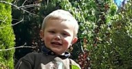 Parents of tragic three-year-old boy mauled by dogs on farm jailed following his death