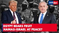 Trump’s Peace Gamble: Inside the Secretive Gaza Talks That Could End the War