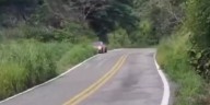 VIDEO | Entre la gloria y el peligro: accidente sin lesionados marca inicio del rally Tuxtla-Oaxaca