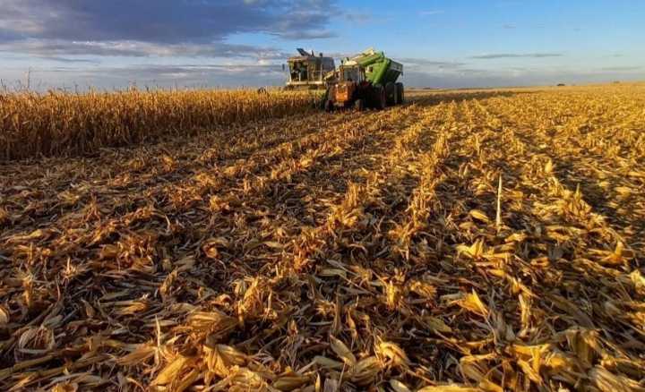 Merma de U$S 390 millones en La Pampa