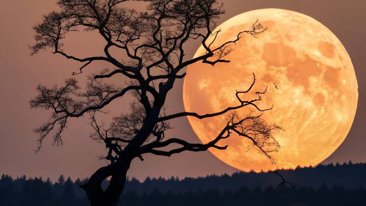 Adelaide to glow with 3 rare Supermoons starting tonight