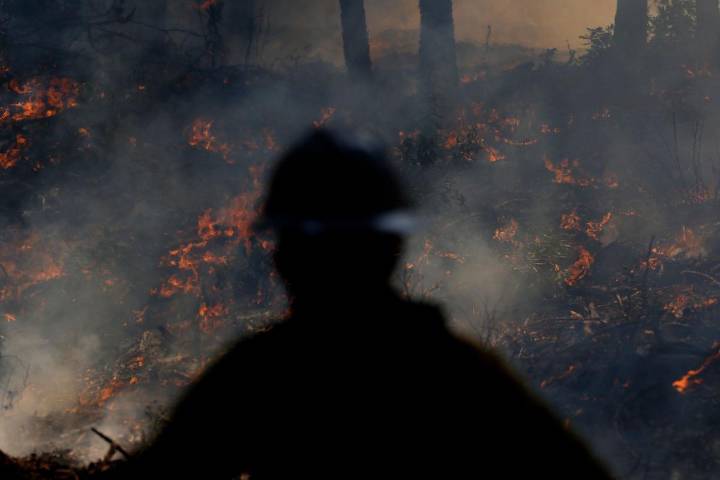 Why is the Albany Pine Bush on Fire?