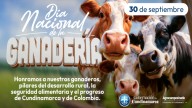 Cundinamarca, segundo productor de leche Nacional, fortalece su sector ganadero con inversión de más de $1.900 millones