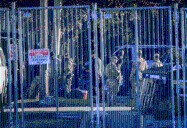 Corte de Apelaciones ratifica la prohibición al despliegue de la Guardia Nacional en Chicago