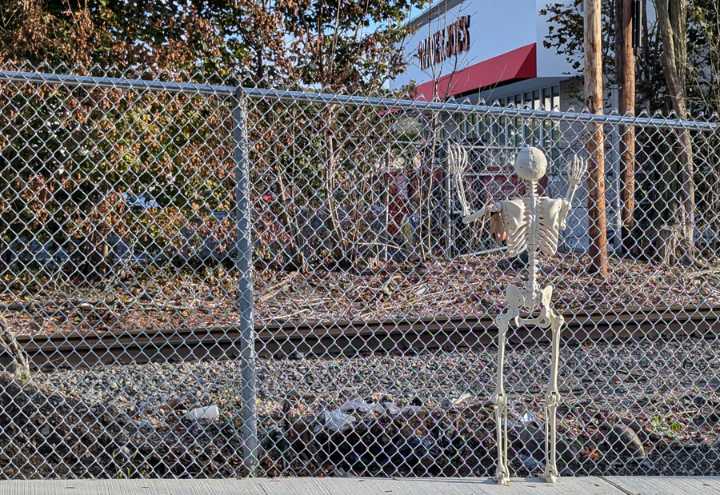 Some people are dying to get into the new West Roxbury Trader Joe's