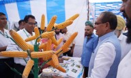 Rs 1.6 lakh approved per family for reconstruction of 36,703 houses damaged in Punjab floods: Union Minister Chouhan