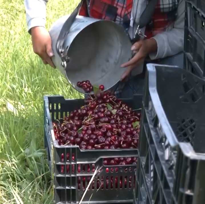 New USDA grants highlight government support for Michigan agriculture
