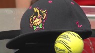 Banana Ball coming back to Albuquerque with 2 games in 2026