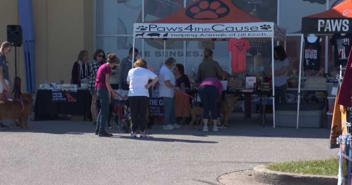 Paws 4 The Cause hosts Barktoberfest to raise money for emergency medical fund