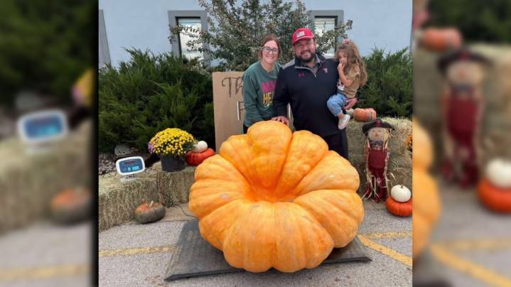 995-pound pumpkin sets Texas weight record