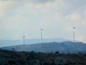 European Lawmakers Agree To Drastically Curtail ESG Directives