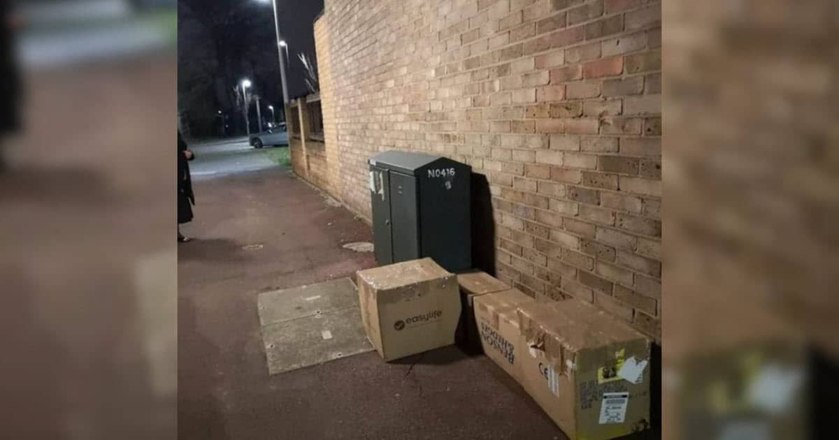 'Mysterious' Box Was Shaking and That Was When a Woman Decided to Unseal it