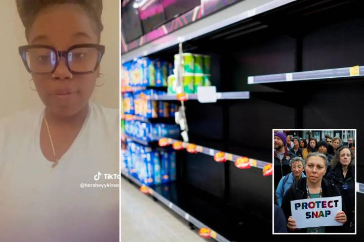 Exclusive | Walmart, NYC-area grocery stores threatened with mass looting after SNAP benefits expire: sources