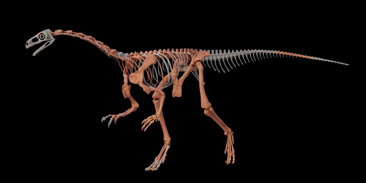 Hallan en La Rioja una nueva especie de dinosaurio, una de las más antiguas del mundo