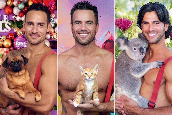 The 2026 Australian Firefighters Calendars Features Dogs, Cats, Horses and More