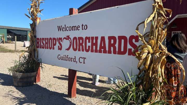 How the recent warm weather impacted the crop at Bishop’s Orchards in Guilford
