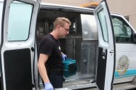 40 Cats Rescued from San Diego Apartment After Elderly Owner Hospitalized