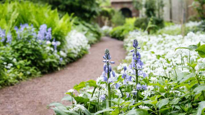 A Budget-Friendly TikTok Garden Path Idea To Try In Your Yard