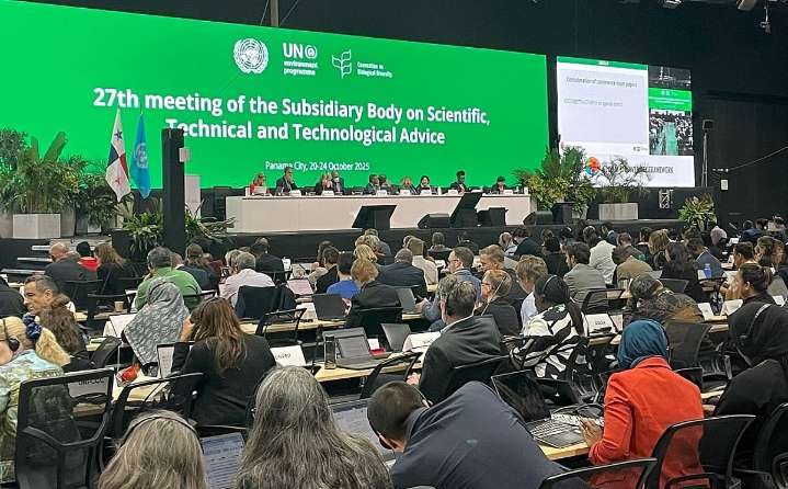 Panama meeting: Parties fail to agree on text of recommendations for Conventional on Biological Diversity