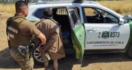 Ñuble: Carabineros en prevención de incendios forestales: 41 detenidos en la temporada contribuyó a disminuir incidencia.