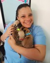 Sobrepoblación de gatos callejeros desborda a Maracay