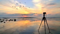 Award-Winning Nature Documentary Films Itself By Random Chance