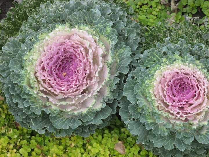 Take notes in the garden today