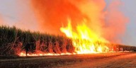 Norte salteño | Trabajadores denuncian a Seaboard por incendios intencionales en Orán